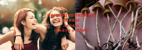 бутират Осташков