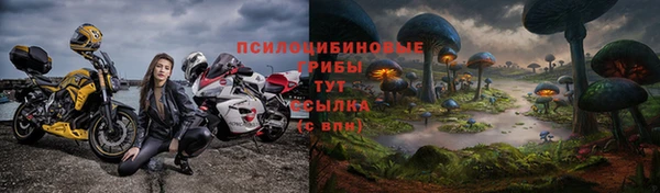 mdpv Осинники