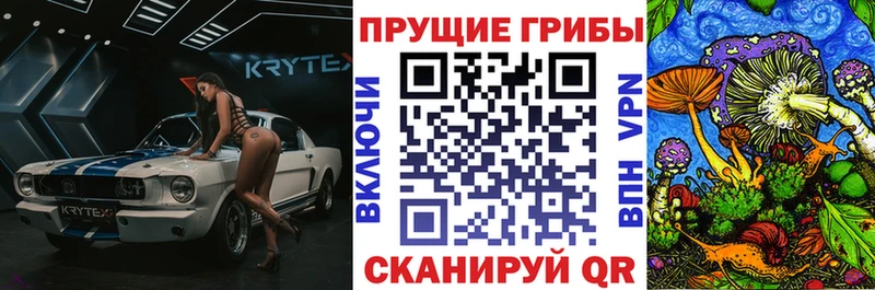 Купить закладки  Петрозаводск  Галлюциногенные грибы прущие грибы 